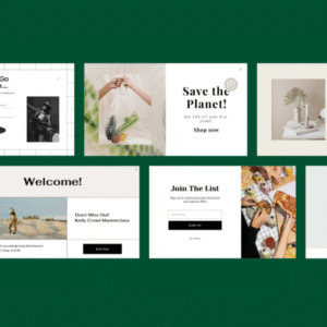 Elementor Pro Plugin 2025